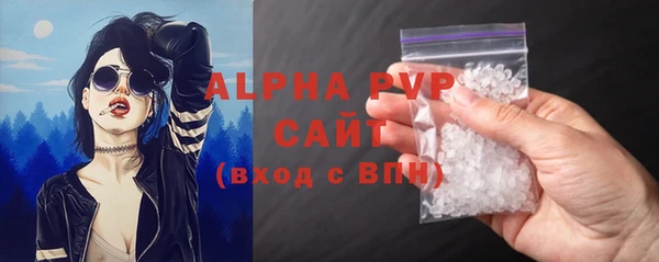 прущие грибы Вязники